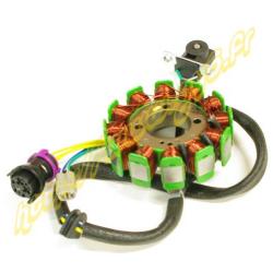 stator 12 poles cfmoto